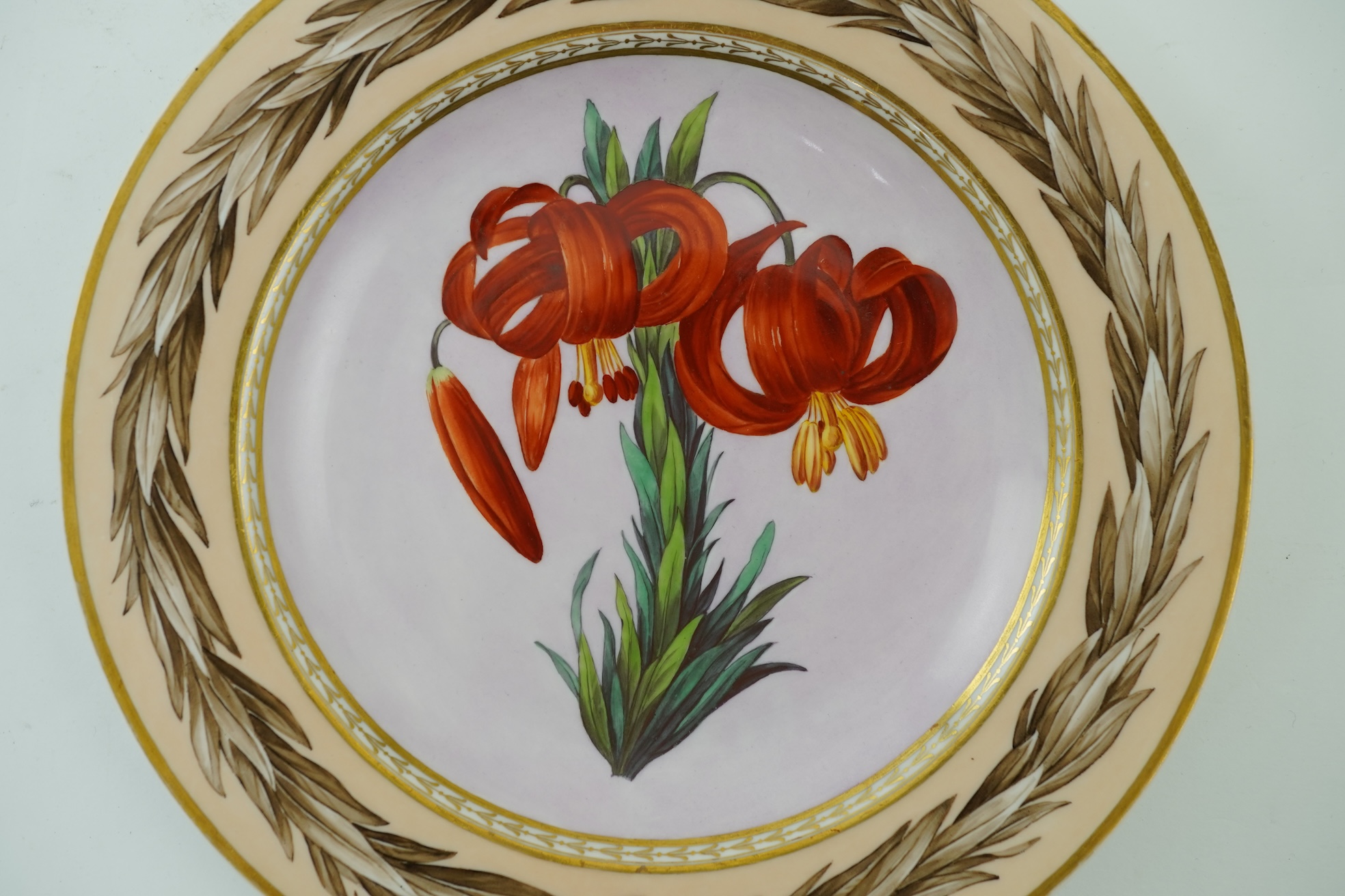 A KPM Berlin Turban lily botanical specimen plate, c.1806-9